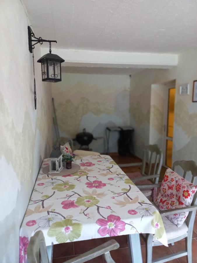 Panoramahaus Apartment